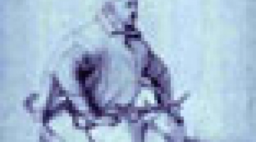  The Janissaries and the Muslim community of Crete   A lecture by Yannis Spyropoulos