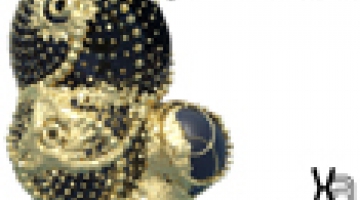 SWEET X|Architecture WORKSHOP ADVANCED ARCHITECTURAL DESIGN