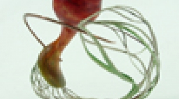 Akis Goumas. P.138 - Routes