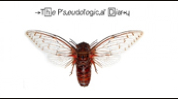  Left Over, The Pseudological Diary 