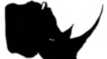 Good morning Mr Ionesco!