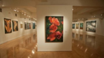 Guided tours to the exhibition  Minas. Retrospective 