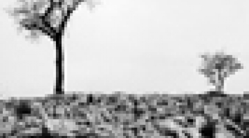  Photography Circle  - The Thursday Meetings (2014-2015) Cinema Seminars