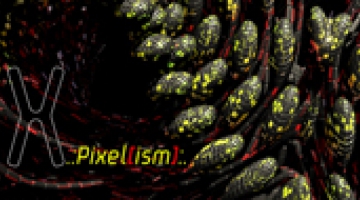 X | Pixel[ism] Architectural Design Workshop