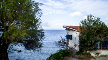  Platon Rivellis at the Benaki Museum  Introductory Seminar to Creative Photography 