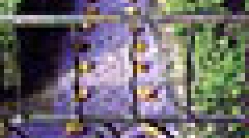 Lecture by Professor of landscape architecture Martha Schwartz