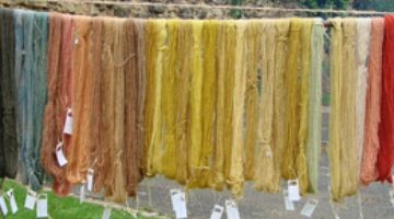 "Φυτικές, ζωικές και μεταλλικές βαφές" Ομιλία της Μαρίας Γρηγορίου