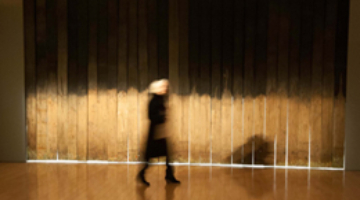 Ξεναγήσεις στην έκθεση "Μποκόρος. Όψεις αδήλων"