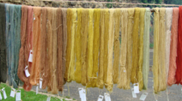 "Φυτικές, ζωικές και μεταλλικές βαφές" Ομιλία της Μαρίας Γρηγορίου ("Animal, vegetable and mineral dyes" A speech by the specialist Maria Grigoriou)