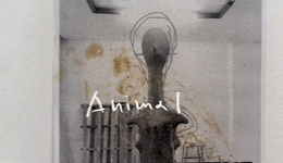 Γιάννης Βαρελάς  Anima Ι