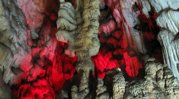 ON STAGE: Theater as an Ethical Institution 