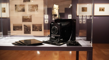 Guided tours to the exhibition “Nelly's”