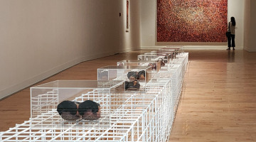 Guided tours to the exhibition “Hic sunt dracones (Here Lay Dragons) Mapping the Unknown: A project by Rick Lowe"