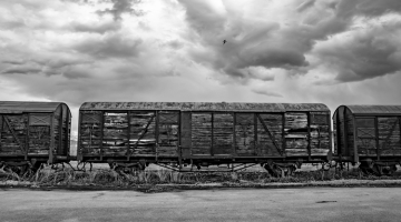 Guided tours to the exhibition "Renée Revah TEHOM"