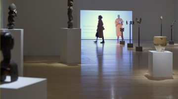 Guided tours to the exhibition "Africa Amongst us*"