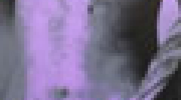 The Interim Meeting 2010 of  ICOM-CC Photographic Materials Working Group 