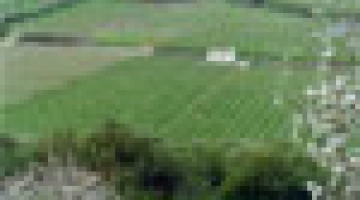 Lecture by Maguelonne Dejeant Pons, President of the European Council for the Landscape Convention