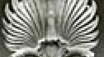 Conference in memory of Stelios Triantis